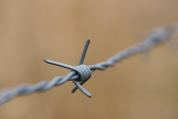Piece of barb wire fence close up