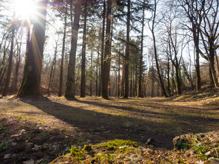 woddland city of Rovereto town in Trentino country Italy