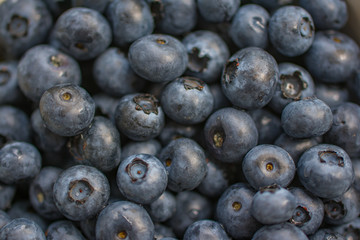 Texture of blueberry berries close up. Fresh blueberry background.