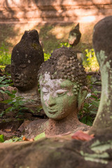 THAILAND CHIANG MAI WAT UMONG