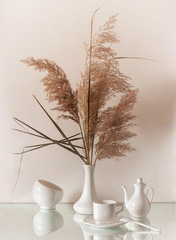 branches of reeds with white dishes