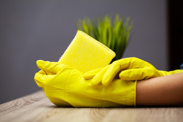 Close Up cleaning company worker hand holding sponge