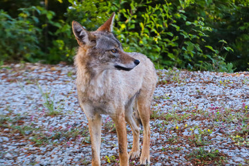 Algeria, from Algier to Annaba, along the Mediterranean See, Coast,
