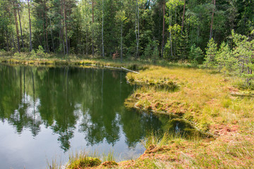 Landscape of beautiful bog lake with green forest and blue sky background.