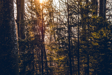 winter in mountains sunset
