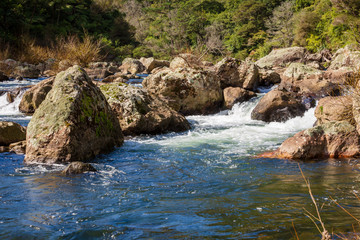 Naklejka na ściany i meble Small rapids in rocky river