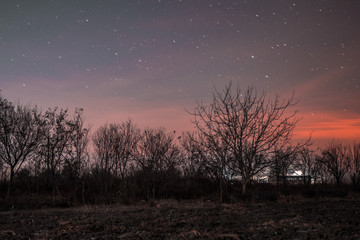 Fototapeta na wymiar sunset in forest with stars