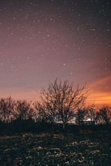 Obraz na płótnie Canvas sunset in forest with stars