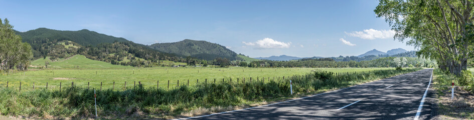 Fototapeta na wymiar road and green countryside landscape, near Hikuai, New Zealand