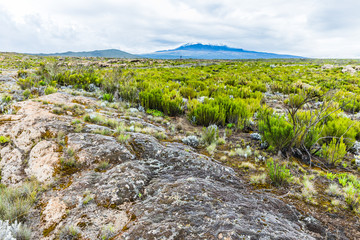 View from the Lemosho trail, the most scenic trail on mount Kilimanjaro, Tanzania