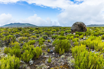 View from the Lemosho trail, the most scenic trail on mount Kilimanjaro, Tanzania