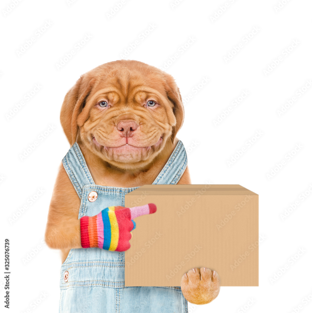 Poster smiling puppy wearing overalls points on big box. delivery concept. isolated on white background