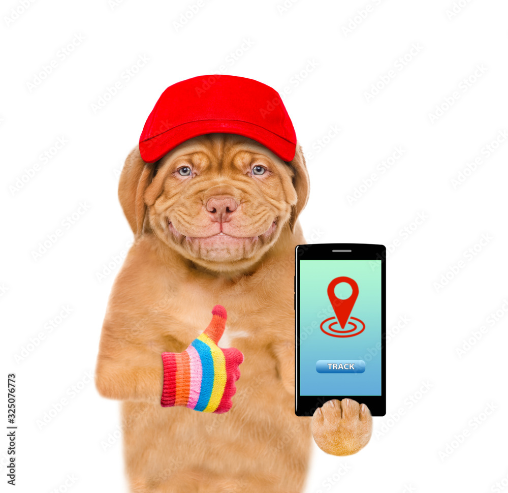 Poster Smiling puppy wearing a red cap holds smartphone with tracking symbol and shows thumbs up. Tracking concept. Isolated on white background