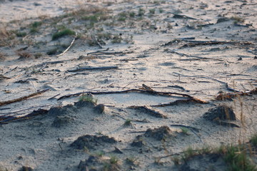 Arid dry sandy area with rare grass, natural color, rough