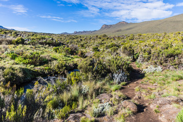 Fototapeta na wymiar View from the Lemosho trail, the most scenic trail on mount Kilimanjaro, Tanzania