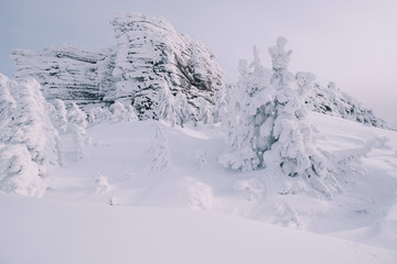 Beautiful winter landscape with snow-covered trees and rocks cliff. Deep snow powder and ice