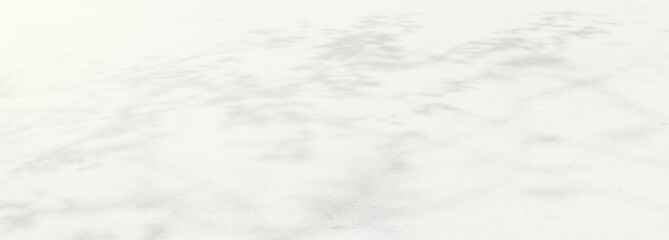 Abstract The gray background shadows of natural leaves that reflect the concrete walls, the fallen branches on the white wall surface for the background and the monochrome wallpaper. 