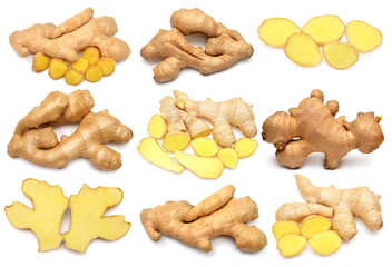 Collection fresh ginger root whole and slice isolated on white background. Creative medical concept, spice in cooking. Perfectly retouched, full depth of field on the photo. Top view, flat lay