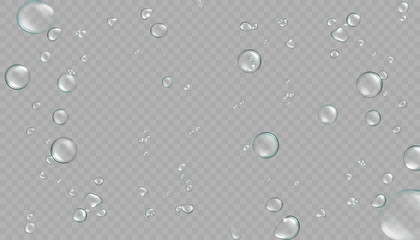 Water drops set on transparent background. 