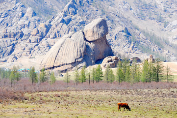 Monumento naturale della Mongolia