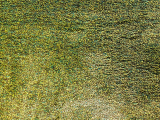 Full Frame Texture Background of Green Rug