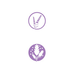 Lavender Logo Template vector symbol