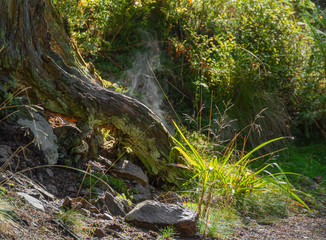 around Vologne river