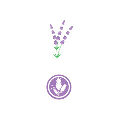 Lavender Logo Template vector symbol