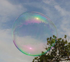 huge bubble up among the trees  