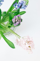 Bouquet of hyacinths in a glass vase on a white background, selective focus.