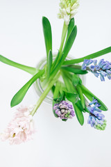 Bouquet of hyacinths in a glass vase on a white background, selective focus.