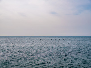 Obraz premium Calm Sea Ocean And Blue Sky Background. High resolution