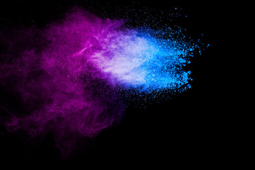 Purple blue color powder explosion cloud  on black background.Closeup of purple blue dust particles splash.