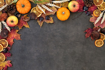 Autumn nature background border with food, flora and fauna on lokta paper background. Top view....
