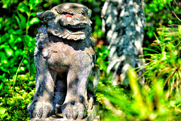 Komainu(Guardian dog) of the Kinugasa shrine in Yokosuka, Japan.