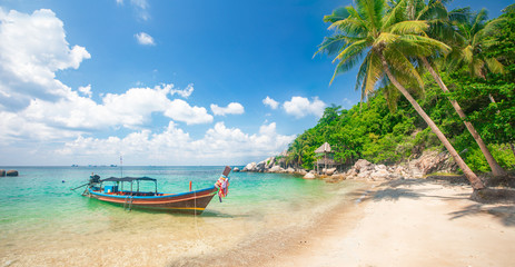 Tropical beach with coconut palm and longtail boat