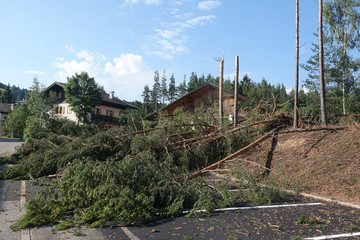 Windbruch