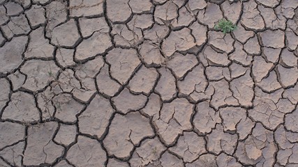 soil cracked background, land in dry season, Abstract natural background with cracked earth texture