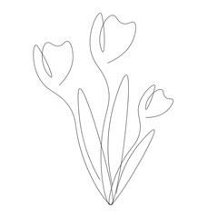 Flowers spring on white background vector illustration