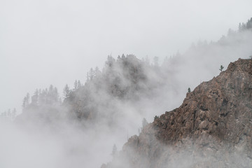 Ghostly view through dense fog to beautiful rockies. Low clouds among giant rocky mountains with trees on top. Alpine atmospheric landscape to big cliff in cloudy sky. Minimalist highland scenery.