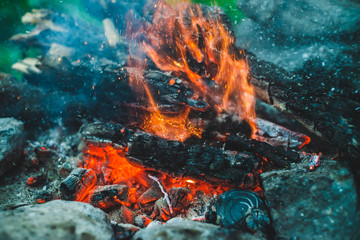 Vivid smoldered firewoods burned in fire close-up. Atmospheric background with orange flame of...