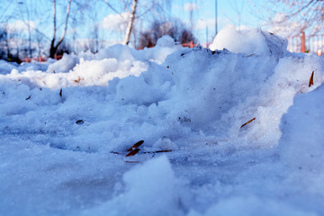 Dirty snow in a closeup during springtime. In this photo you can see melting snow, some small rocks, plants pieces and other debri. Trees and sun in the background