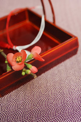 ぼけの花・和風イメージ