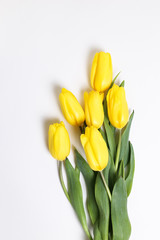 Spring yellow tulip flowers on white background. Floral composition, flat lay, top view, copy space