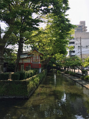 Fototapeta na wymiar Saga, Japan - 17th April 2018 : Peaceful and natural stream in the city, Saga, Japan