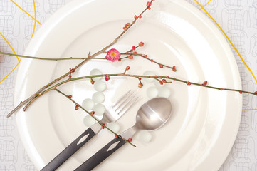 イメージ　梅の花とお皿