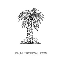 Tropical Palm Tree Icon Line Hand Drawn Style