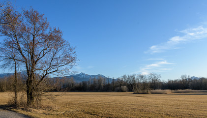 Blick über Wiesen und Bäume  auf die Berge im Frühjahr bei Sonne und blauem Himmel