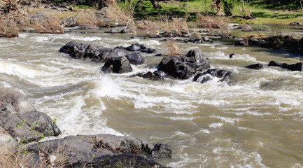 The mountain speedy torrent with fresh cool water is coming down, crushing and tumbling on the rocks by the way