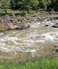 The mountain speedy torrent with fresh cool  water is coming down, crushing and tumbling on the rocks by the way